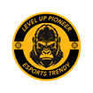 LevelupPioneer Gaming